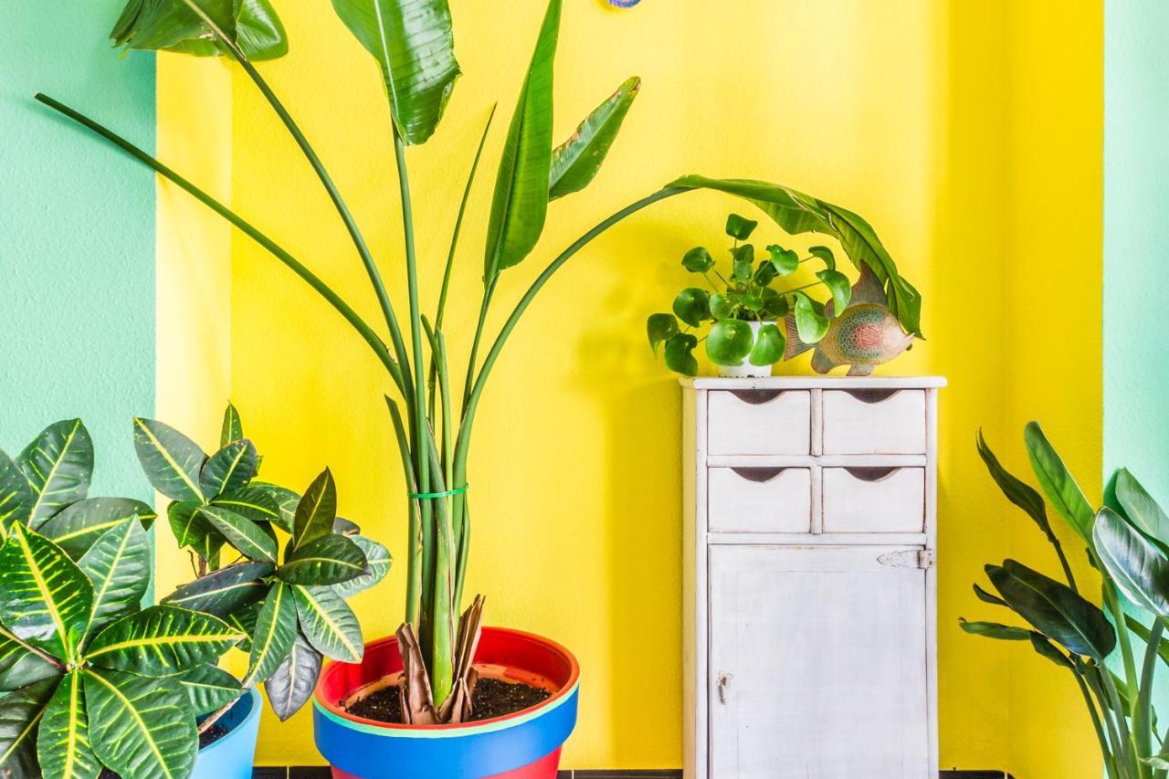 Hostal Tropical Almuñécar 외부 사진
