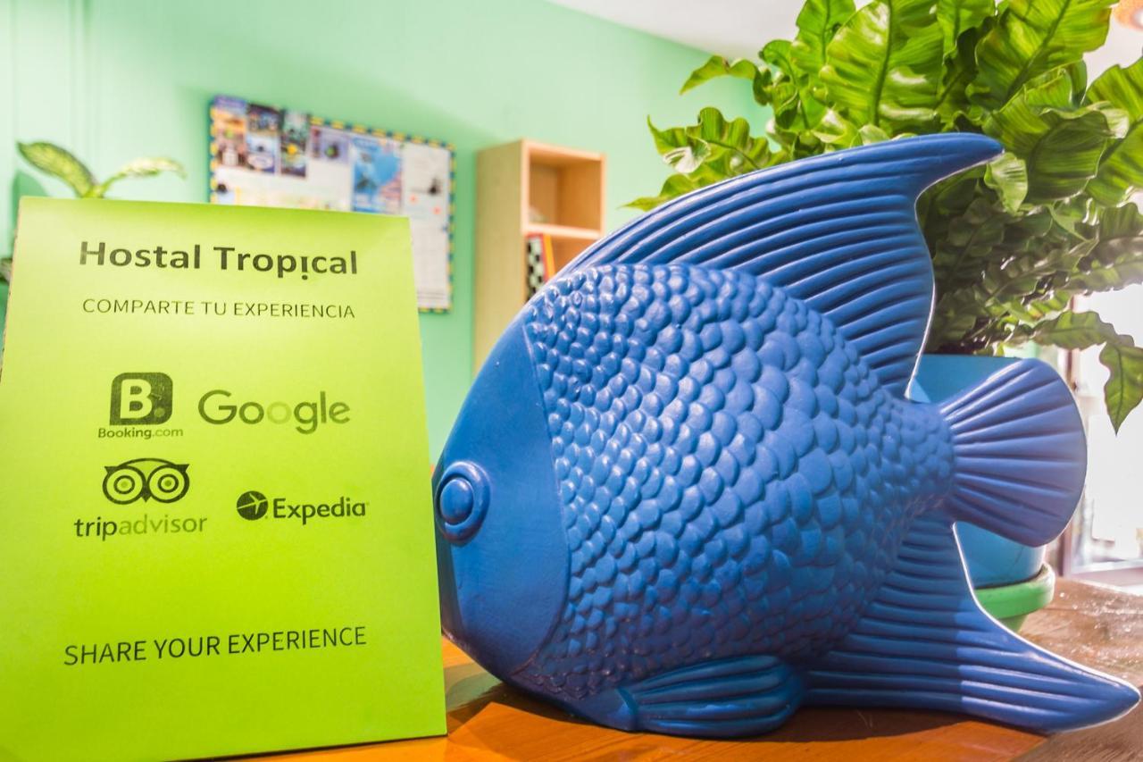 Hostal Tropical Almuñécar 외부 사진